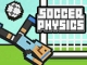 Fizik Futbol